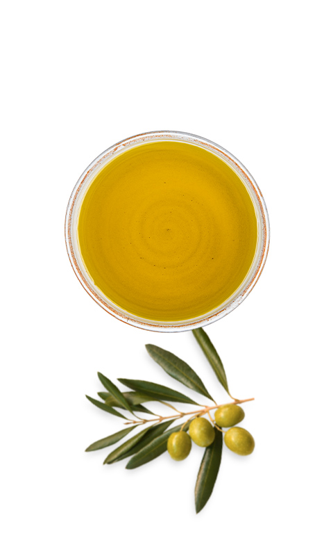 Olio extravergine d’oliva italiano – ingrediente naturale nei grissini Extravergine